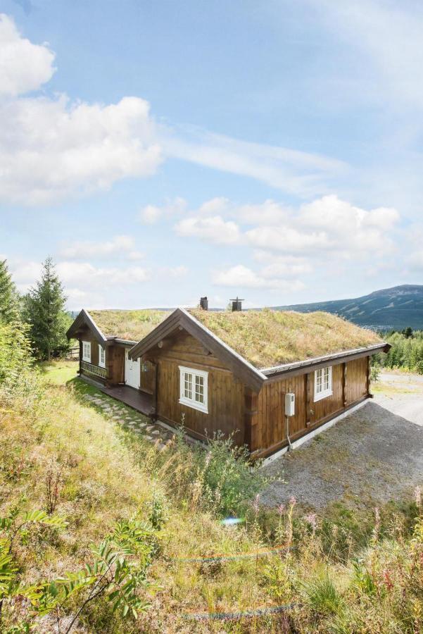 Reveenka - Cabin In Trysil With Jacuzzi For Rent Zewnętrze zdjęcie