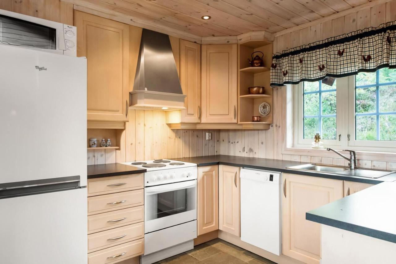 Reveenka - Cabin In Trysil With Jacuzzi For Rent Zewnętrze zdjęcie