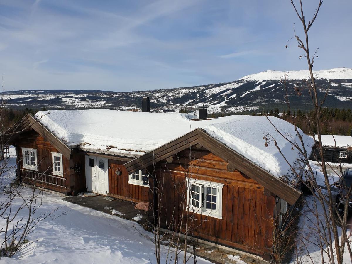 Reveenka - Cabin In Trysil With Jacuzzi For Rent Zewnętrze zdjęcie