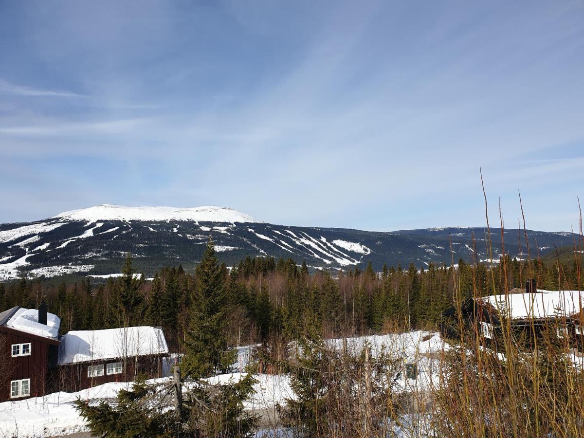 Reveenka - Cabin In Trysil With Jacuzzi For Rent Zewnętrze zdjęcie