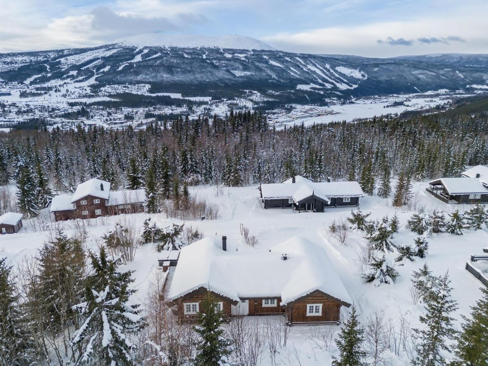 Reveenka - Cabin In Trysil With Jacuzzi For Rent Zewnętrze zdjęcie