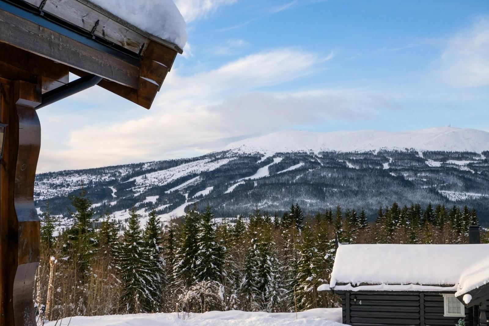 Reveenka - Cabin In Trysil With Jacuzzi For Rent Zewnętrze zdjęcie